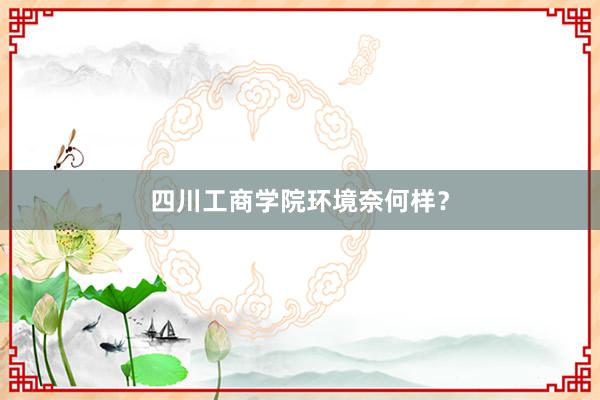 四川工商学院环境奈何样？