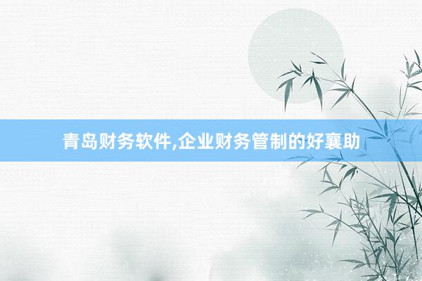 青岛财务软件，企业财务管制的好襄助